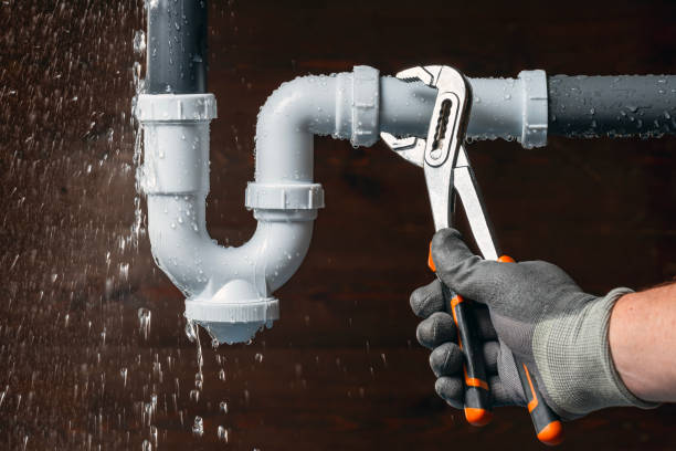 Professional Drain Cleaning technician working in Tamms, IL